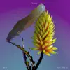 Flume - Say It (feat. Tove Lo) - Single